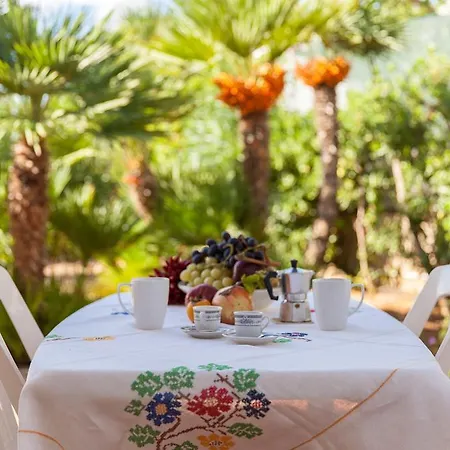 فيلة Delle Palme